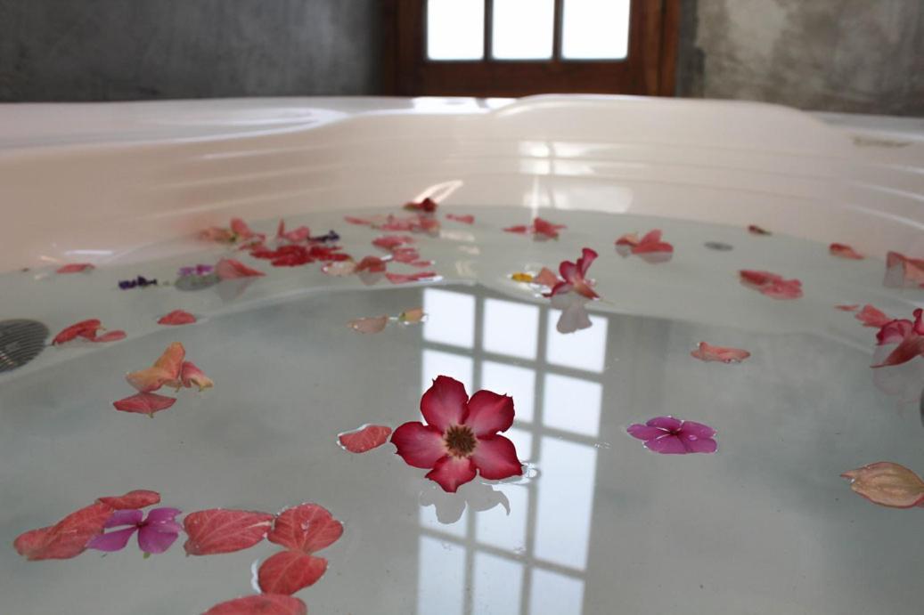 坎布塔尔 Breathe Healing & Wellness酒店 外观 照片